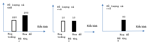 Trong quần thể thực vật, màu hoa được xác định bởi 2 gene nằm trên 2 cặp nhiễm sắc thể thường khác nhau. (ảnh 1)