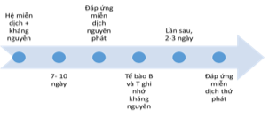 Miễn dịch là cơ chế bảo vệ cơ thể có chức năng nhận biết, ngăn chặn và loại bỏ các tác nhân gây bệnh. Nhờ cơ chế miễn dịch mà xác suất cơ thể bị bệnh thường thấp dù tác nhân gây bệnh nhiều. (ảnh 1)