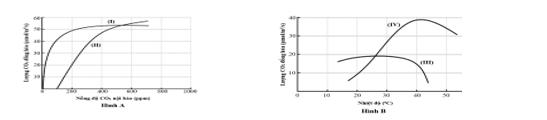 Hai hình vẽ dưới đây mô tả ảnh hưởng của nồng độ CO2 và nhiệt độ đến quang hợp ở thực vật C3 và C4. Đường cong (I) và (II) ở Hình A mô tả cường độ quang hợp ở nồng độ CO2 (ảnh 1)