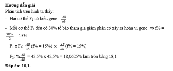 Ở một loài côn trùng, allele A quy định thân xám trội hoàn toàn so với allele a quy định thân đen, allele B quy định mắt đỏ trội hoàn toàn so với mắt trắng. (ảnh 2)