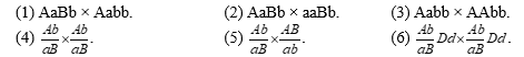 Ở một loài thực vật, biết một gene quy định một tính trạng, trội lặn hoàn toàn và các gene liên kết hoàn toàn. Trong các phép lai sau đây, có bao nhiêu phép lai cho tỉ lệ kiểu gene giống tỉ lệ kiểu hình? (ảnh 1)