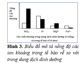 Nghiên cứu vai trò của các nguyên tố dinh dưỡng khoáng đối với sự phát triển của một loài cây thân thảo ở cạn, sau 20 ngày theo dõi thí nghiệm (ảnh 1)