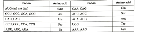 Thông tin di truyền được mã hóa trong trình tự mạch khuôn của gene bởi các bộ ba mã hóa (triplet) (ảnh 1)