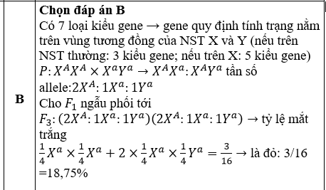 Ở ruồi giấm, gene A quy định mắt đỏ trội hoàn toàn so với gene a quy định mắt trắng, trong quần thể của loài này người ta tìm thấy 7 loại kiểu gene khác nhau  (ảnh 1)
