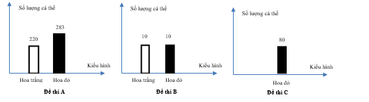 Trong quần thể thực vật, màu hoa được xác định bởi 2 gene nằm trên 2 cặp nhiễm sắc thể thường khác nhau.  (ảnh 1)