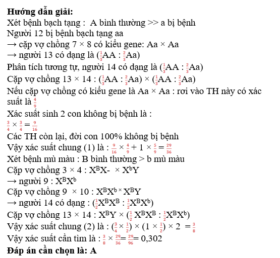 Sơ đồ phả hệ dưới đây mô tả hai bệnh di truyền ở người, bệnh bạch tạng do một gen có 2 allele năm trên NST thường quy định,  (ảnh 2)