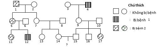 Câu 29:	Phả hệ sau đây mô tả sự di truyền của 2 bệnh,mỗi bệnh do 1 gene có 2 alen quy định,alen trội là trội hoàn toàn so với alen lặn,không có đột biến phát sinh trong phả hệ. (ảnh 1)