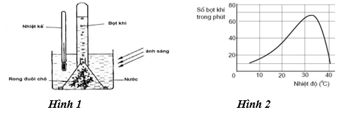 Một học sinh tiến hành thí nghiệm (Hình 1) ở các điều kiện nhiệt độ khác nhau, sau đó so sánh số lượng bọt khí ở các điều kiện nhiệt độ khác nhau đó (ảnh 1)