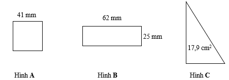 Đúng ghi Đ, sai ghi S. (ảnh 1)