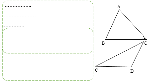 Kẻ các đường cao của mỗi hình tam giác dưới đây và chỉ ra đáy và đường cao tương ứng. (ảnh 1)