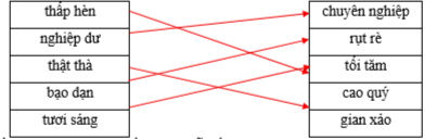 Hãy ghép 2 vế với nhau để tạo thành cặp từ trái nghĩa. thấp hèn		chuyên nghiệp nghiệp dư		rụt rè thật thà		tối tăm bạo dạn		cao quý tươi sáng		gian xảo (ảnh 1)