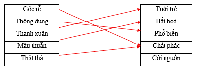 Hãy ghép 2 vế với nhau để tạo thành cặp từ đồng nghĩa.   Gốc rễ		Tuổi trẻ Thông dụng		Bất hoà Thanh xuân		Phổ biến Mâu thuẫn		Chất phác Thật thà		Cội nguồn (ảnh 1)