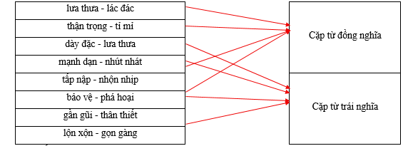 Hãy xếp các cặp từ sau vào nhóm thích hợp. lưa thưa - lác đác		Cặp từ đồng nghĩa thận trọng - tỉ mỉ		 dày đặc - lưa thưa		 mạnh dạn - nhút nhát		 tấp nập - nhộn nhịp		Cặp từ trái nghĩa bảo vệ - phá hoại		 gần gũi - thân thiết		 lộn xộn - gọn gàng		 (ảnh 1)