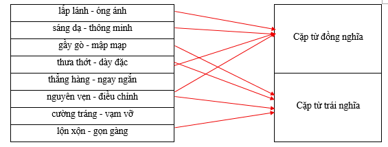 Hãy xếp các cặp từ sau vào nhóm thích hợp. lấp lánh - óng ánh Cặp từ đồng nghĩa sáng dạ - thông minh gầy gò - mập mạp thưa thớt - dày đặc thẳng hàng - ngay ngắn Cặp từ trái nghĩa nguyên vẹn - điều chỉnh cường tráng - vạm vỡ lộn xộn - gọn gàng (ảnh 1)