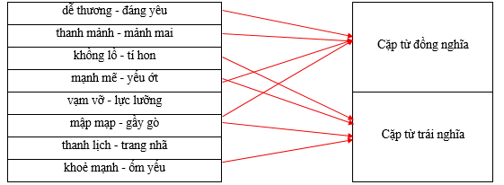 Hãy xếp các cặp từ sau vào nhóm thích hợp. dễ thương - đáng yêu		Cặp từ đồng nghĩa thanh mảnh - mảnh mai		 khồng lồ - tí hon		 mạnh mẽ - yếu ớt		 vạm vỡ - lực lưỡng		Cặp từ trái nghĩa mập mạp - gầy gò		 thanh lịch - trang nhã		 khoẻ mạnh - ốm yếu		 (ảnh 1)
