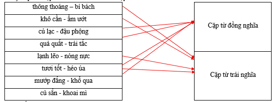 Hãy xếp các cặp từ sau vào nhóm thích hợp. thông thoáng – bí bách		Cặp từ đồng nghĩa                     khô cằn - ẩm ướt		 củ lạc - đậu phộng		 quả quất - trái tắc		 lạnh lẽo - nóng nực		Cặp từ trái nghĩa tươi tốt - héo úa		 (ảnh 1)