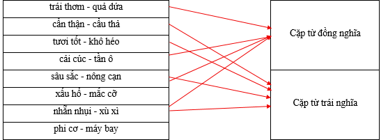 Hãy xếp các cặp từ sau vào nhóm thích hợp. trái thơm - quả dứa		Cặp từ đồng nghĩa cẩn thận - cẩu thả		 tươi tốt - khô héo		 cải cúc - tần ô		 sâu sắc - nông cạn		Cặp từ trái nghĩa xấu hổ - mắc cỡ		 nhẵn nhụi - xù xì		 phi cơ - máy bay		 (ảnh 1)