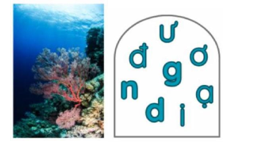 Đuổi hình bắt chữ. Đây là gì?     Đáp án: ............. (ảnh 1)