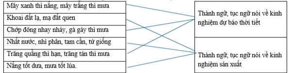 Hãy nối các thành ngữ, tục ngữ sau vào nhóm thích hợp. Mây xanh thì nắng, mây trắng thì mưa		Thành ngữ, tục ngữ nói về kinh nghiệm dự báo thời tiết Khoai đất lạ, mạ đất quen		 Chớp đông nhay nháy, gà gáy thì mưa		 Nhất nước, nhì phân, tam cần, tứ giống (ảnh 1)