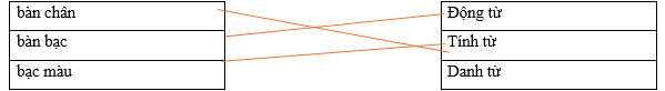 Hãy ghép từ ở cột bên trái với nhóm thích hợp với cột bên phải. bàn chân Động từ bàn bạc Tính từ bạc màu Danh từ (ảnh 1)