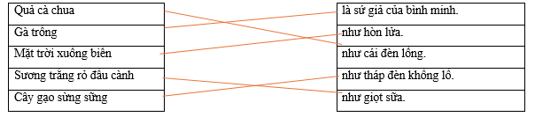 Em hãy nối các ý ở cột A với các ý tương ứng ở cột B để tạo thành câu so sánh có nội dung phù hợp.  Quả cà chua		là sứ giả của bình minh. Gà trống		như hòn lửa. Mặt trời xuống biển		như cái đèn lồng. (ảnh 1)