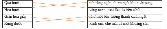 Hãy nối chủ ngữ ở cột bên trái với vị ngữ ở cột bên phải để tạo thành câu hoàn chỉnh. Quả bưởi		nở trắng ngần, thơm ngát khi xuân sang. Hoa bưởi		vàng ươm, treo lúc lỉu trên cành. Giàn hoa giấy		như một bức tường thành xanh ngắt.  (ảnh 1)