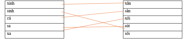 Hãy ghép 2 vế với nhau để tạo thành từ. xinh		xắn sinh		sắn củ		xôi sa		sút xa		sôi (ảnh 1)