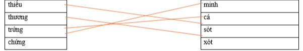 Hãy ghép hai vế để tạo thành từ đúng. thiếu minh thương cá trứng sót chứng xót (ảnh 1)