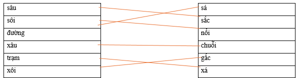 Hãy ghép 2 vế với nhau để tạo thành từ. sâu sá sôi sắc đường nổi xâu chuỗi trạm gấc xôi xá (ảnh 1)