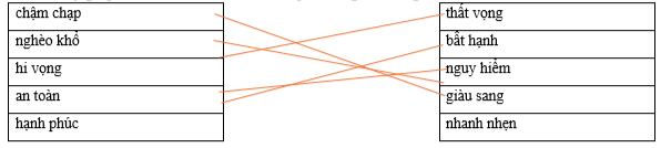 Hãy ghép 2 vế với nhau để tạo thành cặp từ có nghĩa trái ngược nhau. chậm chạp		thất vọng nghèo khổ		bâ̂t hạnh hi vọng		nguy hiểm an toàn		giàu sang hạnh phúc		nhanh nhẹn (ảnh 1)