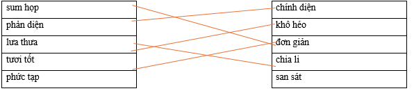 Hãy ghép 2 vế với nhau để tạo thành cặp từ có nghĩa trái ngược nhau. sum họp		chính diện phản diện		khô héo lưa thưa		đơn giản tươi tốt		chia li phức tạp		san sát (ảnh 1)