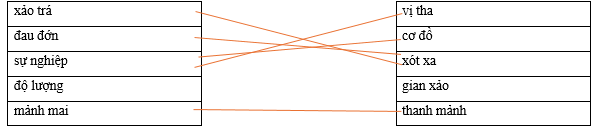 Hãy ghép 2 vế với nhau để tạo thành cặp từ có nghĩa giống nhau. xảo trá		vị tha đau đớn		cơ đồ sự nghiệp		xót xa độ lượng		gian xảo mảnh mai		thanh mảnh (ảnh 1)