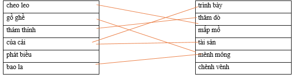 Hãy ghép 2 vế với nhau để tạo thành cặp từ có nghĩa giống nhau. cheo leo trình bày gồ ghề thăm dò thám thính mấp mồ của cải tài sản phát biều mênh mông bao la chênh vênh (ảnh 1)
