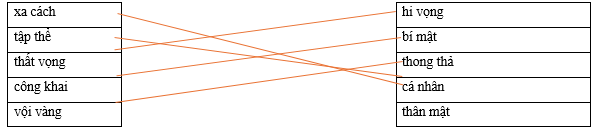 Hãy ghép 2 vế với nhau để tạo thành cặp từ có nghĩa trái ngược nhau. xa cách hi vọng tập thể bí mật thất vọng thong thả công khai cá nhân vội vàng thân mật (ảnh 1)