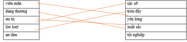 Hãy ghép 2 vế với nhau để tạo thành cặp từ có nghĩa giống nhau. viên mãn sặc sỡ đáng thương tròn đầy ưu tú yên lòng lòe loẹt xuất sắc an tâm tội nghiệp (ảnh 1)