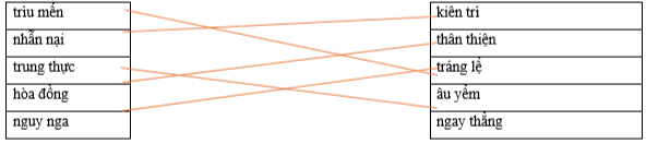 Hãy ghép 2 vế với nhau để tạo thành cặp từ có nghĩa giống nhau. trìu mến kiên trì nhẫn nại thân thiện trung thực tráng lệ̀ hòa đồng âu yếm nguy nga ngay thẳng (ảnh 1)