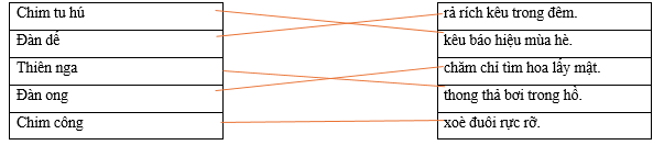 Hãy ghép 2 vế với nhau để tạo thành câu hoàn chỉnh. Chim tu hú rả rích kêu trong đêm. Đàn dế kêu báo hiệu mùa hè. Thiên nga chăm chỉ tìm hoa lấy mật. Đàn ong thong thả bơi trong hồ. Chim công xoè đuôi rực rỡ. (ảnh 1)