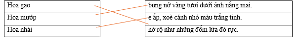Hãy ghép 2 vế với nhau để tạo thành câu hoàn chỉnh. Hoa gạo bung nở vàng tươi dưới ánh nắng mai. Hoa mướp e ấp, xoè cánh nhỏ màu trắng tinh. Hoa nhài nở rộ như những đốm lửa đỏ rực. (ảnh 1)
