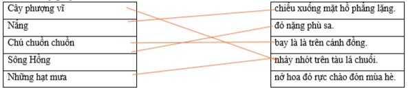 Hãy ghép 2 vế với nhau để tạo thành câu hoàn chỉnh. Cây phượng vĩ chiếu xuống mặt hồ phẳng lặng. Nắng đỏ nặng phù sa. Chú chuồn chuồn bay là là trên cánh đồng. Sông Hồng nhảy nhót trên tàu lá chuối. Những hạt mưa nở hoa đỏ rực chào đón mùa hè. (ảnh 1)
