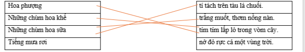 Hãy ghép 2 vế với nhau để tạo thành câu hoàn chỉnh. Hoa phượng tí tách trên tàu lá chuối. Những chùm hoa khế trẳng muốt, thơm nồng nàn. Những chùm hoa sữa tím tím lấp ló trong vòm cây. Tiếng mưa rơi nở đỏ rực cả một vùng trời. (ảnh 1)