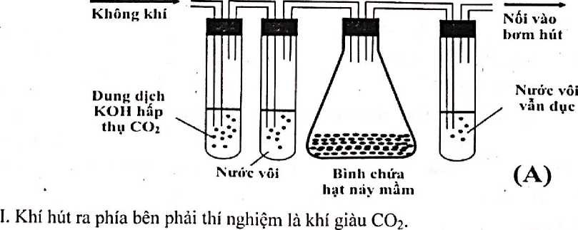 Dưa trên hình vẽ thí nghiệm minh họa hô hấp thực vật, mỗi nhận định sau đây Đúng hay Sai? (ảnh 1)