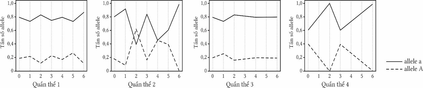 Hình 2 mô tả sự biến đổi tần số allele a và allele A ở bốn quần thể. Trong số 4 quần thể này, quần thể nào có thành phần kiểu gene  ít thay đổi nhất? (ảnh 1)