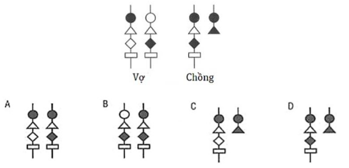 H&igrave;nh b&ecirc;n m&ocirc; tả cặp NST giới t&iacute;nh ở vợ v&agrave; chồng v&agrave; bốn người con A, B, C, D, c&aacute;c k&iacute; hiệu h&igrave;nh học tượng trưng cho c&aacute;c allele nằm tr&ecirc;n NST. (ảnh 1)