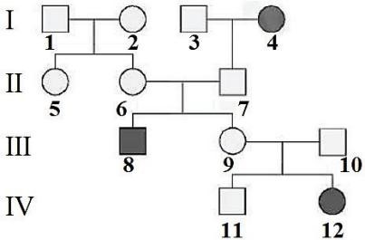 Sơ đồ phả hệ dưới đây mô tả sự di truyền một bệnh ở người do một gene có hai allele quy định. Những cá thể được tô màu đen là biểu hiện bệnh, allele gây bệnh nằm trên nhiễm sắc thể thường.  (ảnh 1)