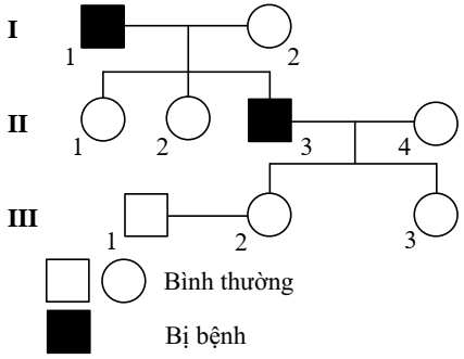 Để xác định vị trí của một gene  gồm hai allele chi phối tính trạng bệnh M, họ đã tiến hành nghiên cứu phả hệ của một gia đình như Hình 4.  (ảnh 2)