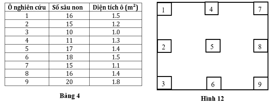 Sâu cuốn lá lúa nhỏ (Cnaphalocrocis medinalis) thường xuất hiện và gây hại cho cây lúa ở nước ta vào các giai đoạn: đẻ nhánh, đứng cái và trổ bông, đặc biệt trong điều kiện thời tiết nóng ẩm và ruộng rậm rạp. (ảnh 1)