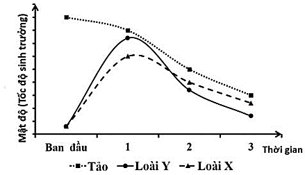 Ở một hệ sinh thái có 2 loài sên biển X và Y là động vật ăn tảo. Một thí nghiệm được tiến hành để tìm hiểu tác động của mật độ sên biển lên khả năng sinh trưởng của chúng và mật độ của tảo.  (ảnh 1)