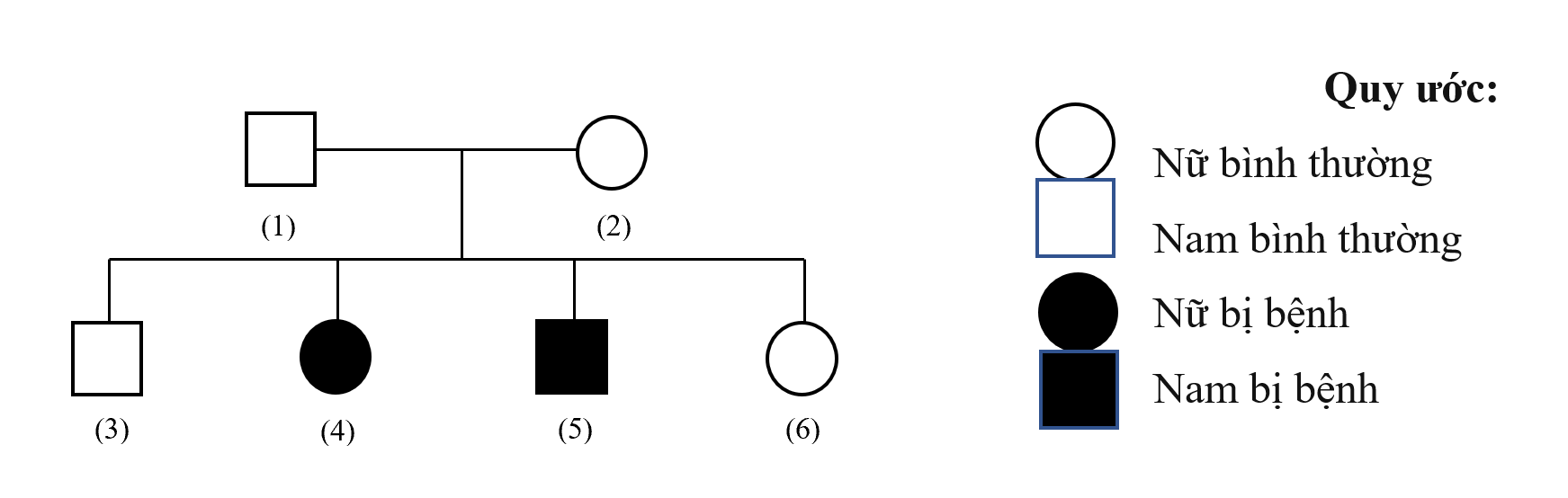 Phả hệ dưới đây mô tả một gia đình có bệnh alkapton niệu, rối loạn sinh hóa. Người bệnh không thể chuyển hóa một chất gọi là alkapton nên nước tiểu có màu và các vết bẩn mô của cơ thể. Mỗi phát biểu sau đây là Đúng hay Sai về bệnh trên? (ảnh 1)
