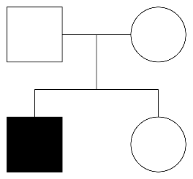 Trong một gia đ&igrave;nh, bố mẹ b&igrave;nh thường sinh ra 2 con: một con trai bị bệnh, một con g&aacute;i b&igrave;nh thường. Bệnh di truyền c&oacute; thể thuộc kiểu gene lặn li&ecirc;n kết giới t&iacute;nh. Phả hệ n&agrave;o sau đ&acirc;y l&agrave; ch&iacute;nh x&aacute;c? (ảnh 1)