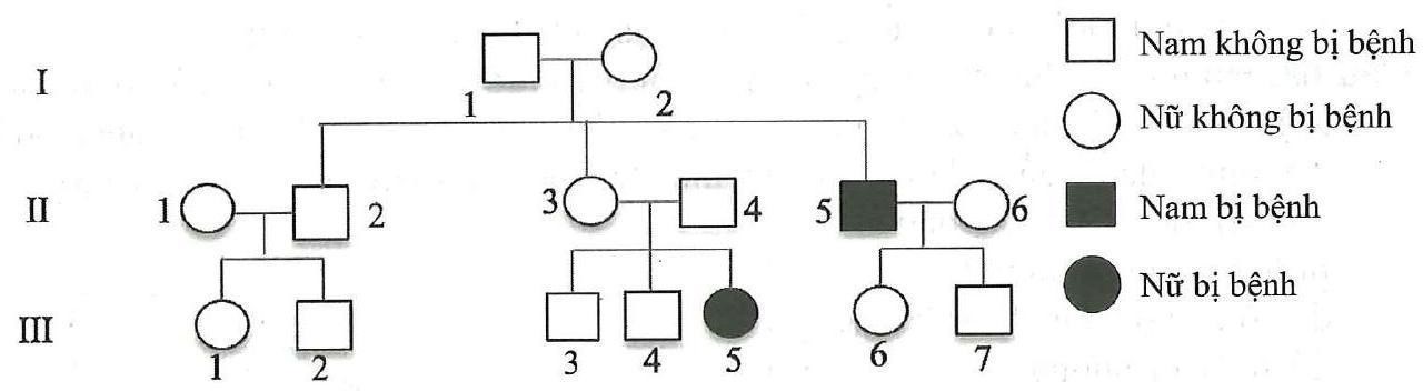 Phả hệ dưới đây cho biết sự di truyền của một bệnh ở người do một trong hai allele A và a quy định. Đặc điểm di truyền của gene gây bệnh thuộc dạng nào sau đây?   (ảnh 1)